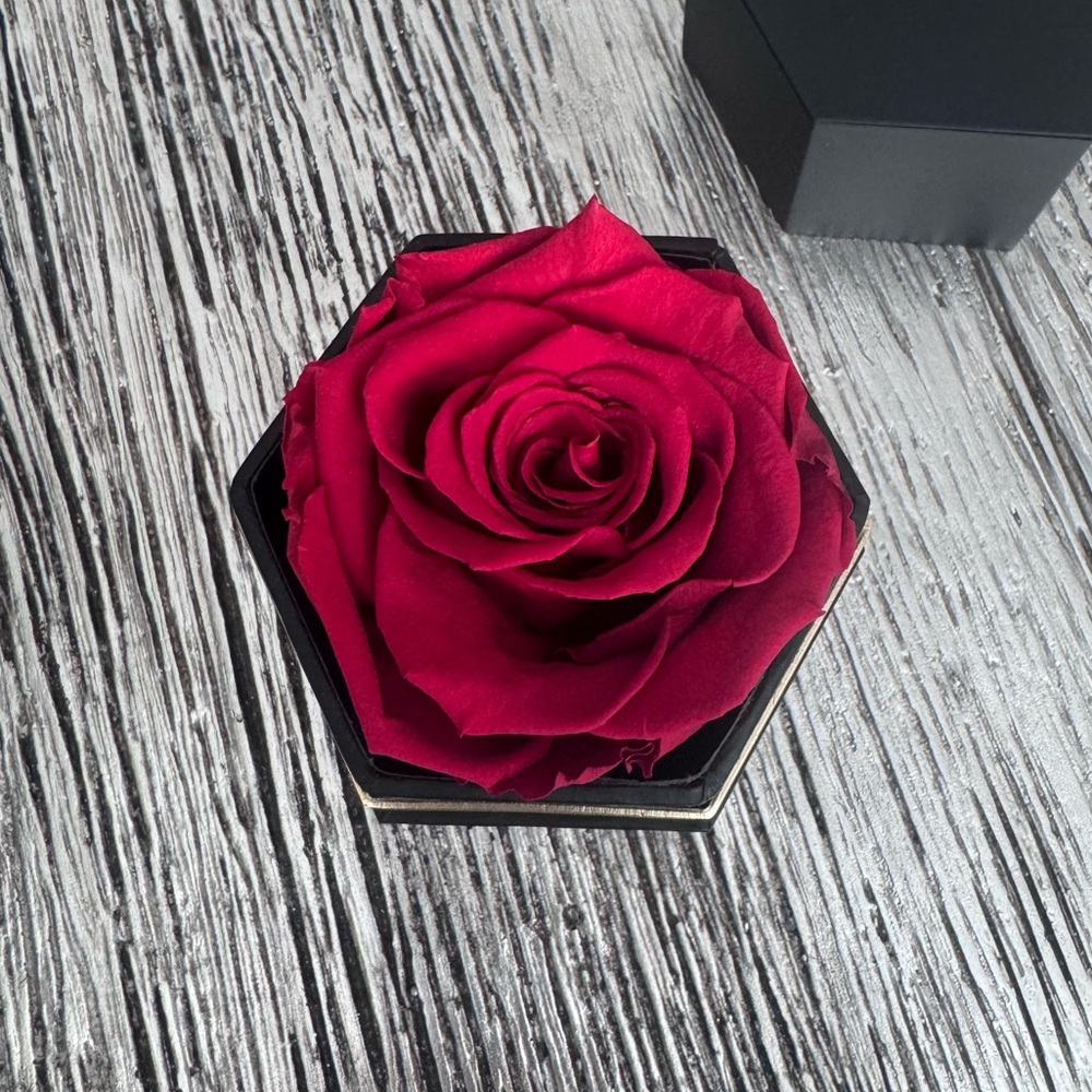 The Million Roses: Red Rose 🌹 - Picture 7 of 12